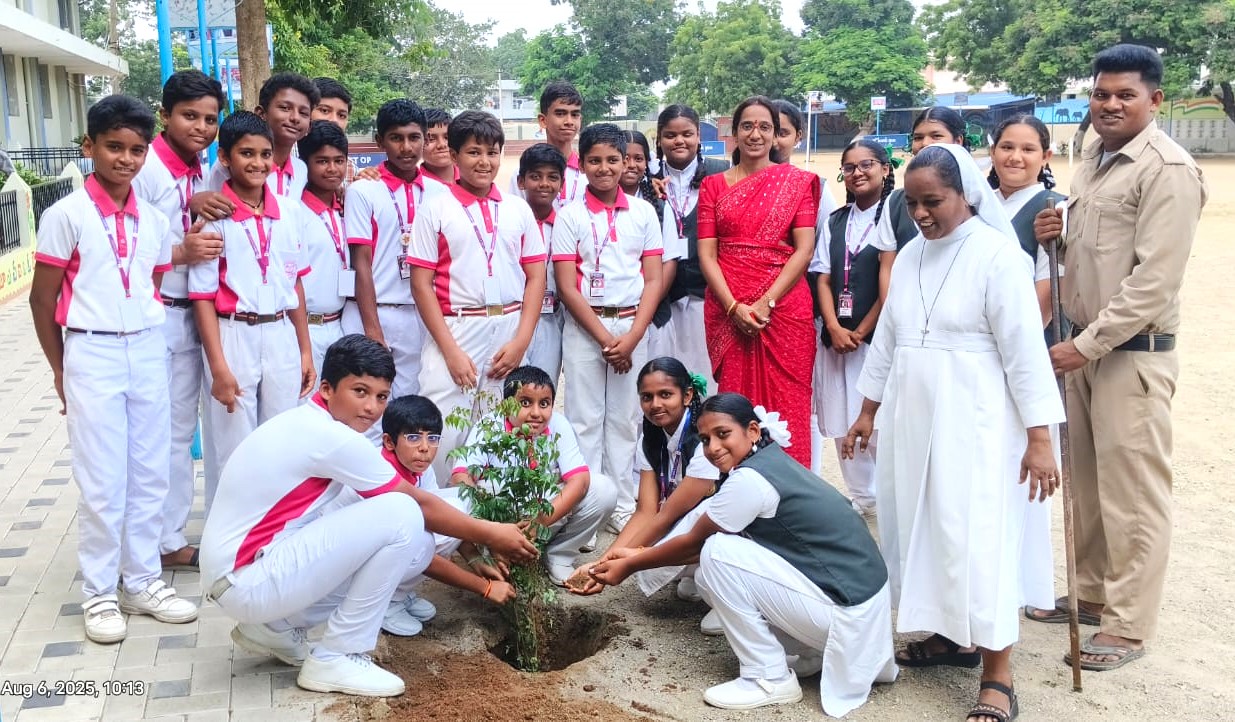 admin/about_picture/